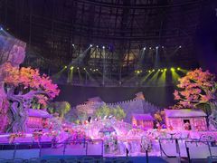 -《驼铃传奇》秀