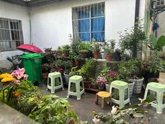 -家烧面馆【南山路知名经典面食】