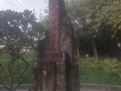 -王借岗森林公园