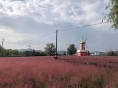 -羊亭河湿地公园