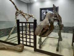 -游龙石文化科普馆