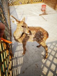 -萌宠亲子动物乐园(槐房万达店)