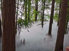 -东湖落雁景区