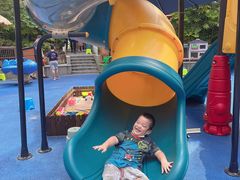 -上海崇明金茂凯悦酒店