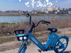 -南汇嘴观海公园