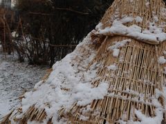 -北海道厅旧本厅舍(旧本庁舎)