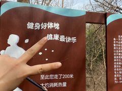 -云岗森林公园