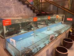 水产区-饭怕鱼(阳光100店)