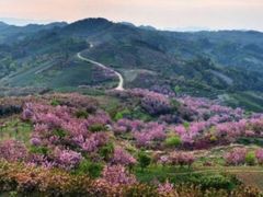 -四明山国家森林公园