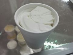 椰子雪糕-洪馨椰子