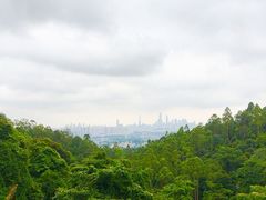 -火炉山森林公园