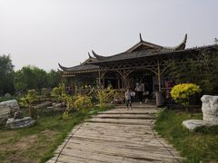-武清南湖绿博园