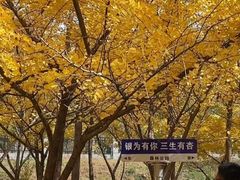 -森林公园(尖草坪区)
