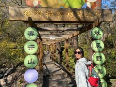 -大岭沟猕猴桃谷风景区