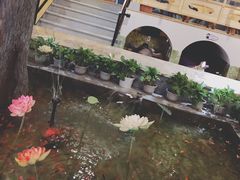 -华远汤泉