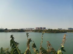 -立新湖公园