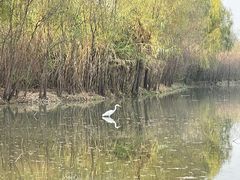 -西安浐灞国家湿地公园