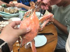 螃蟹-红星渔村(将军石店)