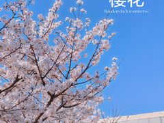 -龙美术馆(西岸馆)