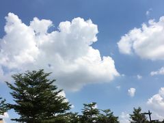 -渔人码头(洛溪店)