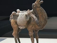 -太原市博物馆
