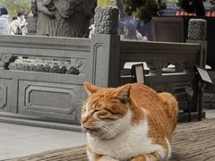 -龙华寺