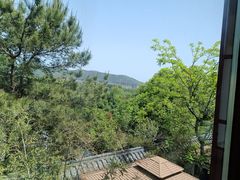 -绿色菜园·农家土菜(贤山店)