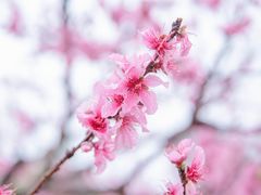 -翠屏湖景区