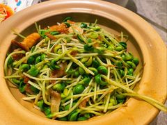 小炒黑豆苗-香阁餐厅·常州菜·常州菜代表品牌(新北奥体店)