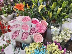 -桂林市花鸟市场