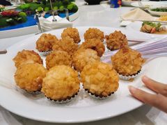 -丁老爷子苏香圆