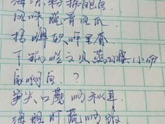 -南山酒肆(南山董事绘店)