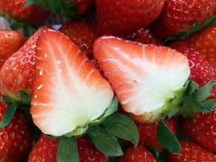 崂山富硒牛奶草莓-青青岛鲜果园