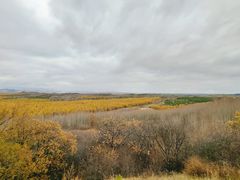 -塞罕坝国家级自然保护区