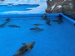 -雪绒花路停车场