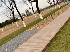 -汉长安城未央宫国家考古遗址公园