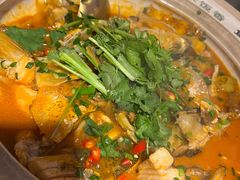 -魏铭鱼头捞饭(晋阳路店)