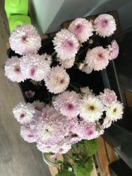 -摩睫+皮肤管理·科学美容中心