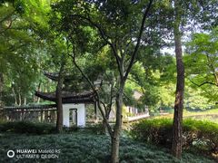 -杭州植物园