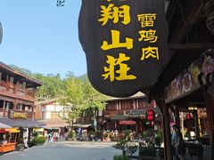 -龙翔山庄雷鸡肉(青城后山泰安古镇店)