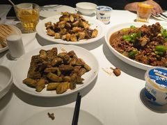 -金春禧(世茂国际广场店)
