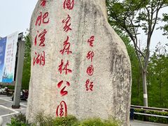 -合肥滨湖国家森林公园