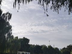 -丰台花园