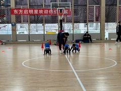 -东方启明星篮球培训(泛海校区)