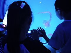 -海合安成都极地海洋公园