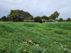 -洪湖家庭农场·团建·露营·会议