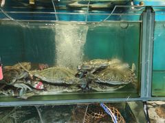 -海味当家·蒸锅海鲜(星海公园店)