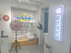 -爱洗澡的猫(望京店)