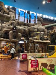 -卡通尼·Safari非洲探索乐园·生日会(金桥国际商业广场店)