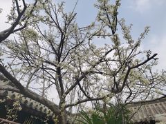 -开封府